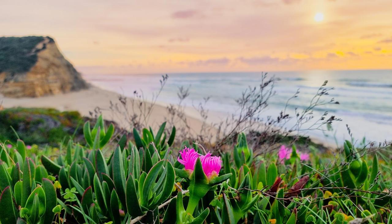 Tika Surf Camp Ericeira Hotel Carvoeira Екстериор снимка